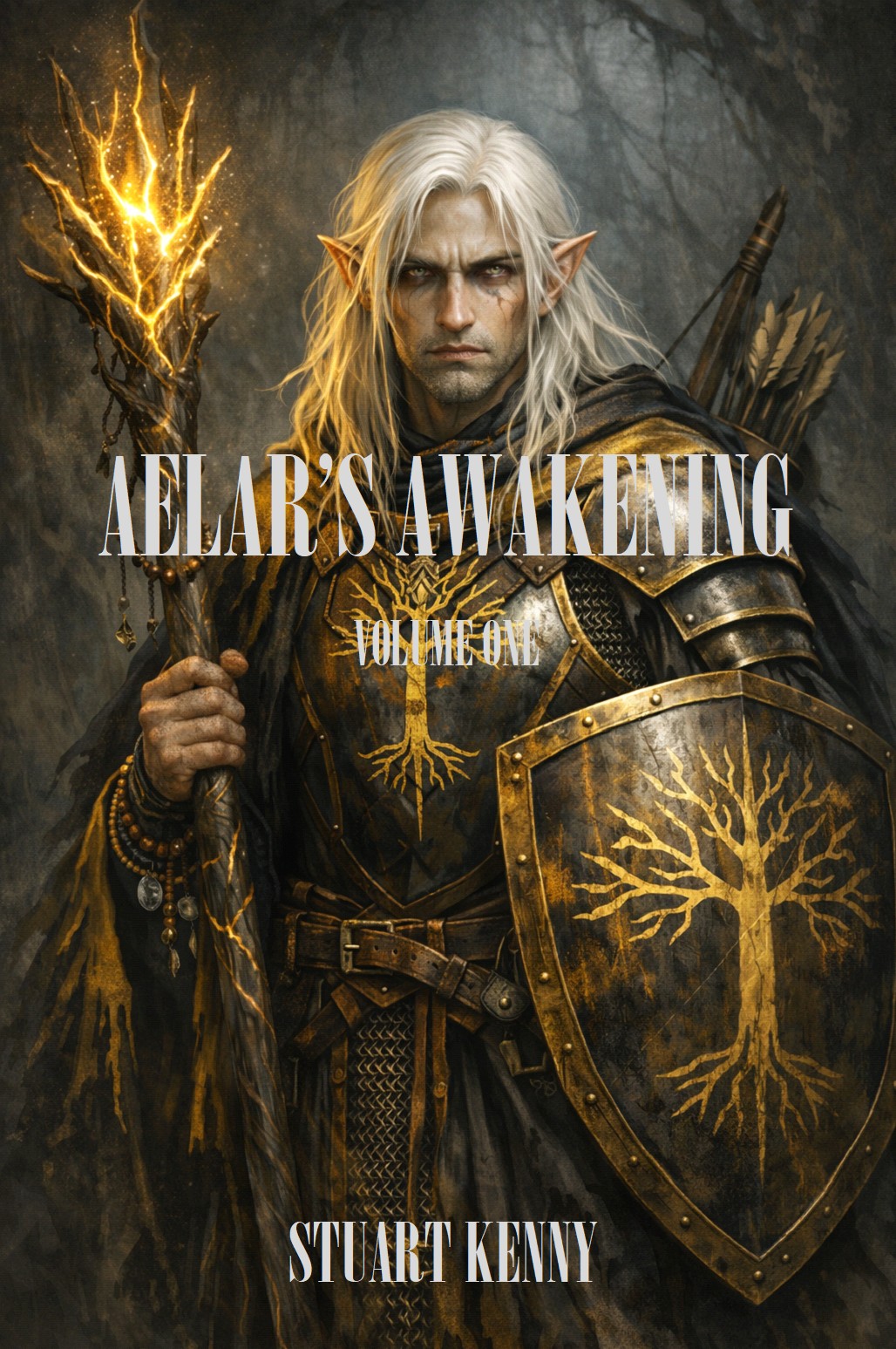 Cover of Aelar's Awakening