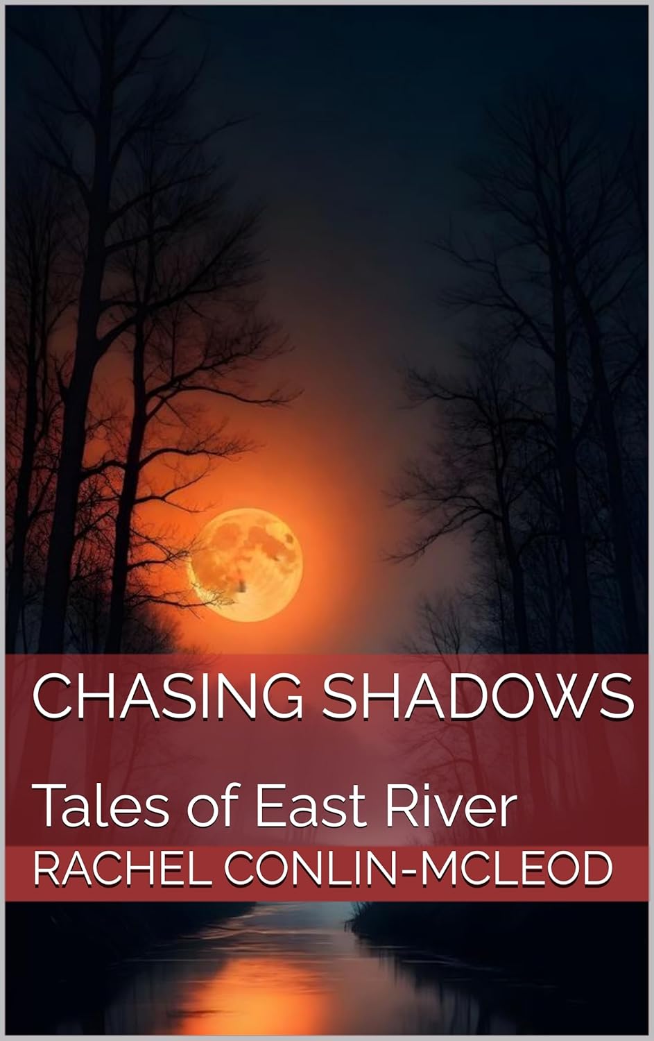 Cover of Chasing Shadows: Tales of East River