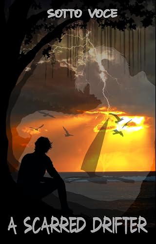 Cover of A Scarred Drifter